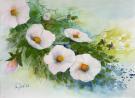 131__Heckenrose__Aquarell_40 x 50cm.jpg